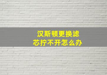 汉斯顿更换滤芯拧不开怎么办