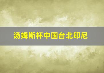 汤姆斯杯中国台北印尼