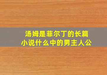 汤姆是菲尔丁的长篇小说什么中的男主人公