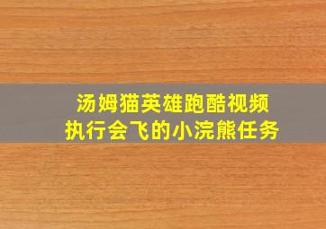 汤姆猫英雄跑酷视频执行会飞的小浣熊任务