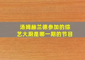 汤姆赫兰德参加的综艺大厨是哪一期的节目