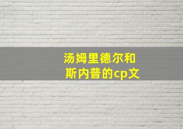 汤姆里德尔和斯内普的cp文