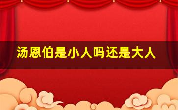 汤恩伯是小人吗还是大人