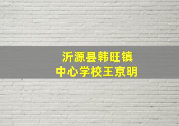 沂源县韩旺镇中心学校王京明