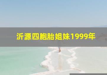 沂源四胞胎姐妹1999年