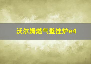 沃尔姆燃气壁挂炉e4