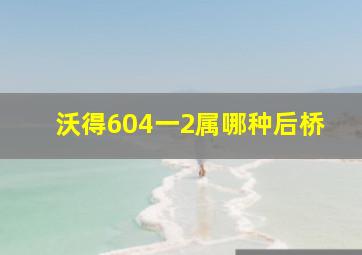 沃得604一2属哪种后桥