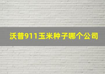 沃普911玉米种子哪个公司