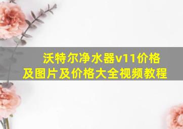 沃特尔净水器v11价格及图片及价格大全视频教程