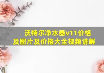 沃特尔净水器v11价格及图片及价格大全视频讲解