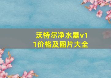 沃特尔净水器v11价格及图片大全