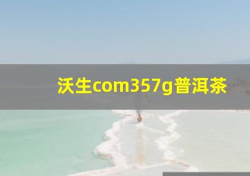 沃生com357g普洱茶