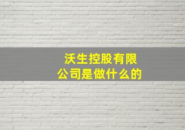 沃生控股有限公司是做什么的