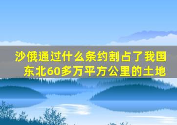 沙俄通过什么条约割占了我国东北60多万平方公里的土地