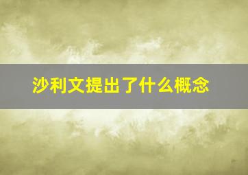 沙利文提出了什么概念