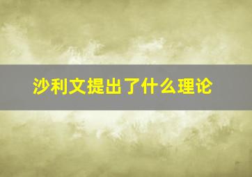 沙利文提出了什么理论