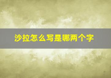 沙拉怎么写是哪两个字