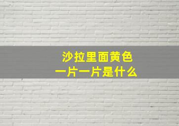 沙拉里面黄色一片一片是什么