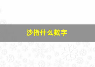 沙指什么数字