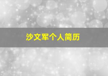 沙文军个人简历