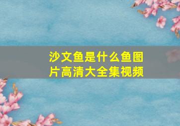 沙文鱼是什么鱼图片高清大全集视频