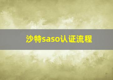 沙特saso认证流程