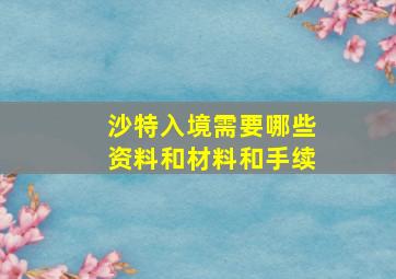 沙特入境需要哪些资料和材料和手续