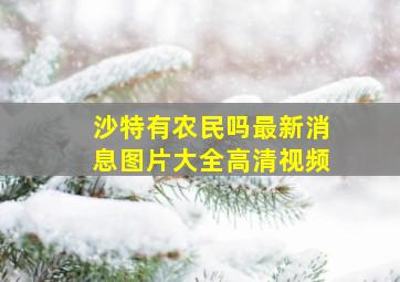 沙特有农民吗最新消息图片大全高清视频