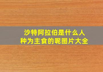 沙特阿拉伯是什么人种为主食的呢图片大全