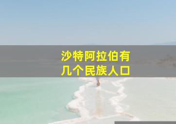 沙特阿拉伯有几个民族人口