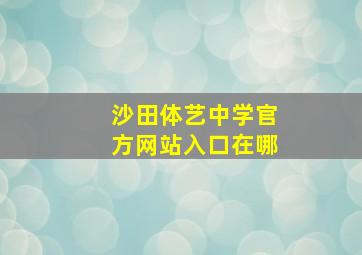 沙田体艺中学官方网站入口在哪