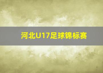 河北U17足球锦标赛