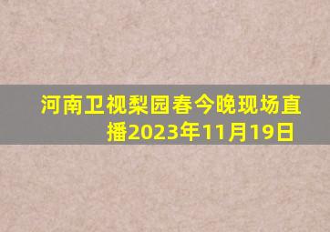 河南卫视梨园春今晚现场直播2023年11月19日