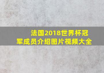 法国2018世界杯冠军成员介绍图片视频大全