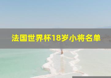 法国世界杯18岁小将名单