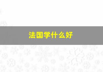 法国学什么好