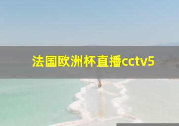 法国欧洲杯直播cctv5