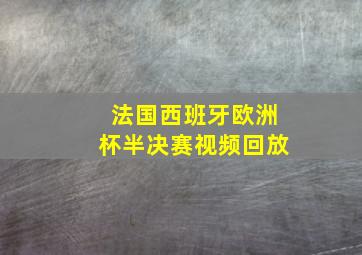 法国西班牙欧洲杯半决赛视频回放