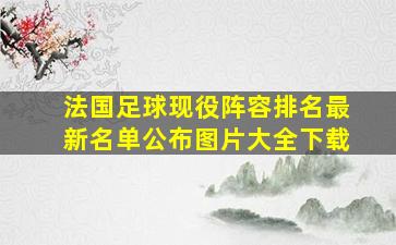 法国足球现役阵容排名最新名单公布图片大全下载