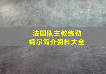 法国队主教练勒梅尔简介资料大全