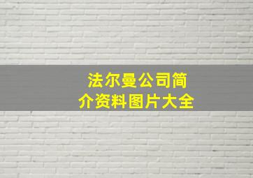 法尔曼公司简介资料图片大全