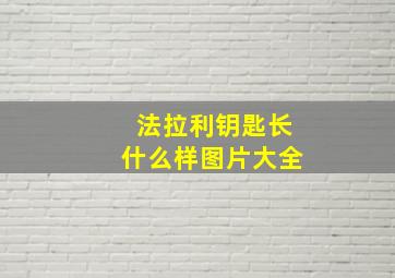 法拉利钥匙长什么样图片大全