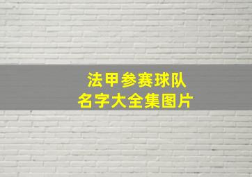 法甲参赛球队名字大全集图片