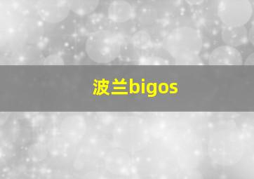 波兰bigos