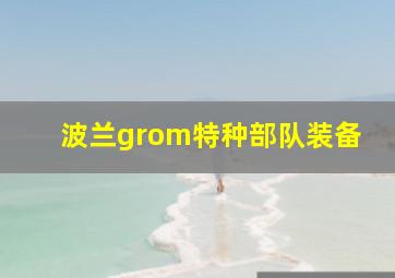 波兰grom特种部队装备