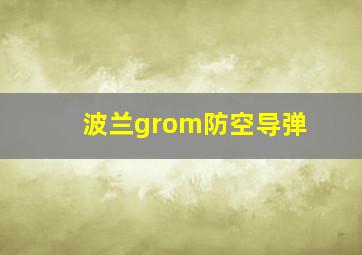 波兰grom防空导弹