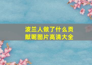 波兰人做了什么贡献呢图片高清大全