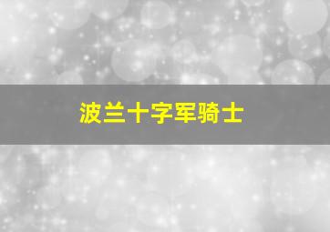 波兰十字军骑士