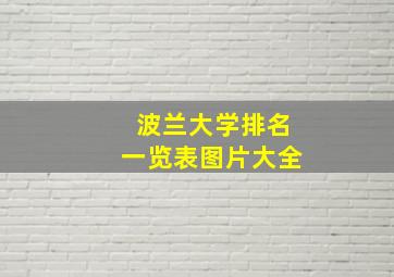 波兰大学排名一览表图片大全