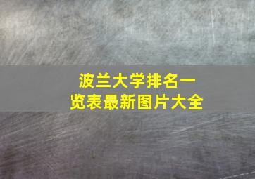 波兰大学排名一览表最新图片大全